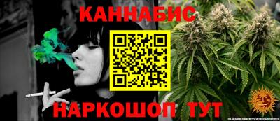 сатива Канаш