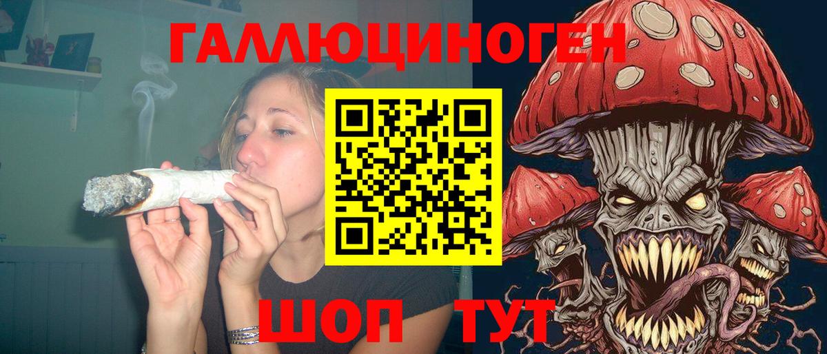 Юрга  Галлюциногенные грибы мицелий  Вход с VPN 
